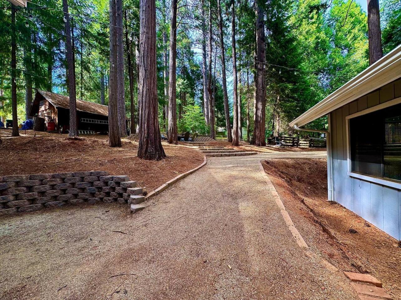Cabin In The Trees-Game Room Pollock Pines Exterior foto